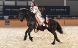 Winnetou - Pullman City, Pferd Bodensee
