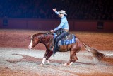Reining, Pferd Bodensee
