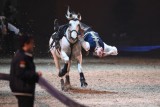 Compagnie Impulsion, Pferd Bodensee