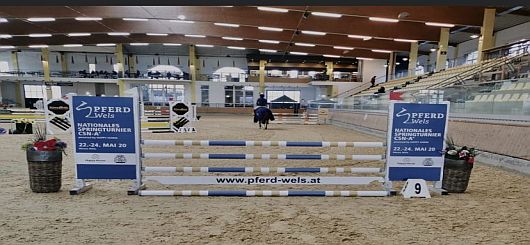 Pferd Wels