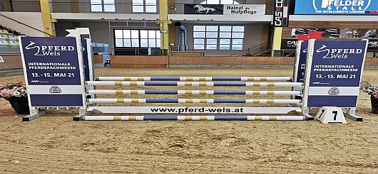 Pferd Wels