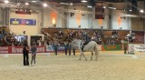 2 Platz Gruppe UC St. Georg Wels-Thalheim