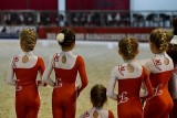 Sieger Gruppenvoltiigieren UVRV Braunau