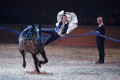 Compagnie Impulsion
